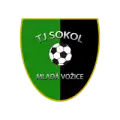 Mladá Vožice